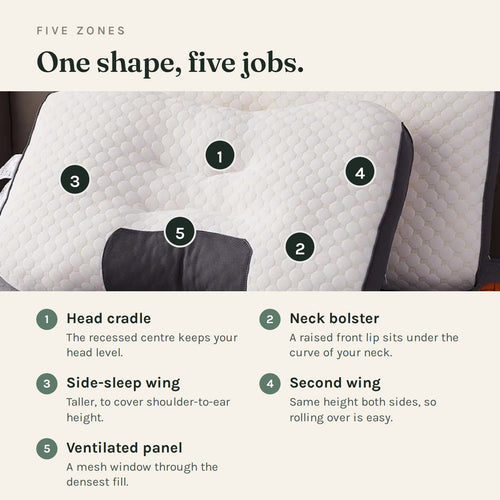 The five shaped zones labelled: head cradle, neck bolster, two side wings and a ventilated mesh panel